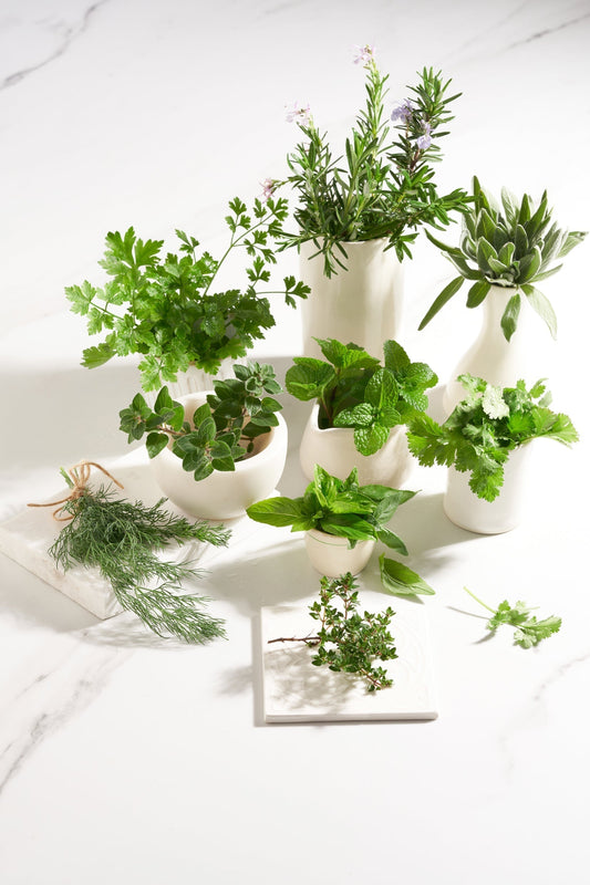 Know your herbs