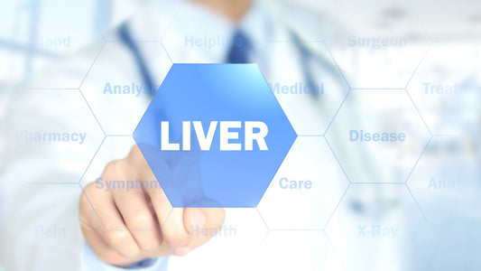 Health - The liver – Functions and associated problems